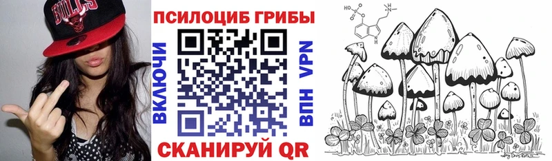 закладка  Славгород  Галлюциногенные грибы мухоморы 